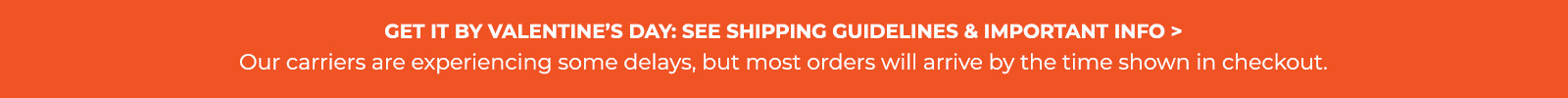 Delivery carriers experiencing intermittent delays. Most orders arrive by delivery time shown in cart.