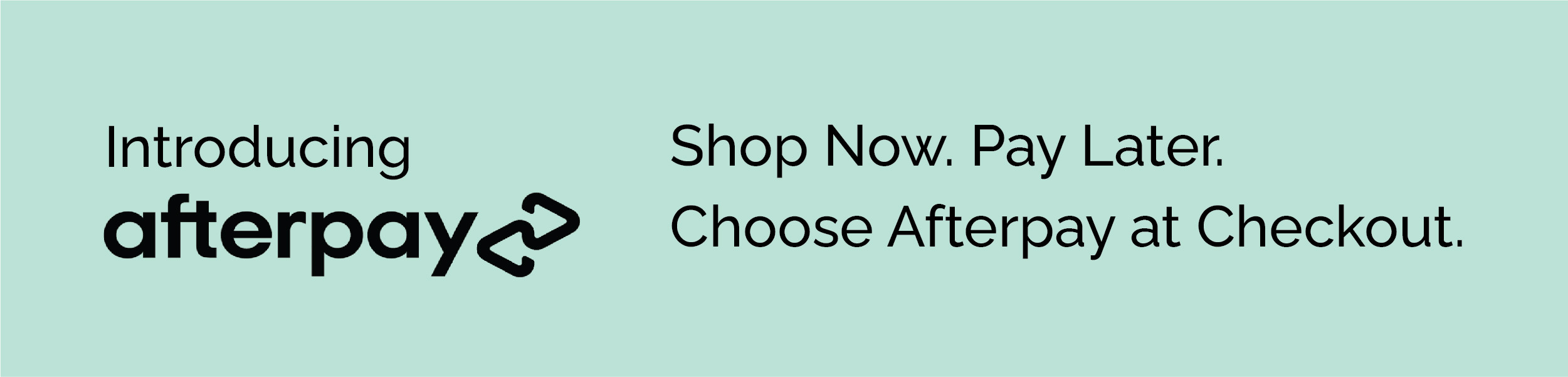 camera bolsa afterpay