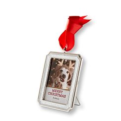 Photo Gallery picture frame personalized Christmas ornament with a photo of a dog wearing reindeer antlers