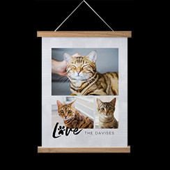 Hanging canvas print with personalized photos of pet cats