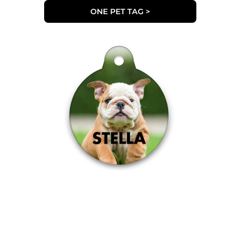 shutterfly dog tag promo code 2018