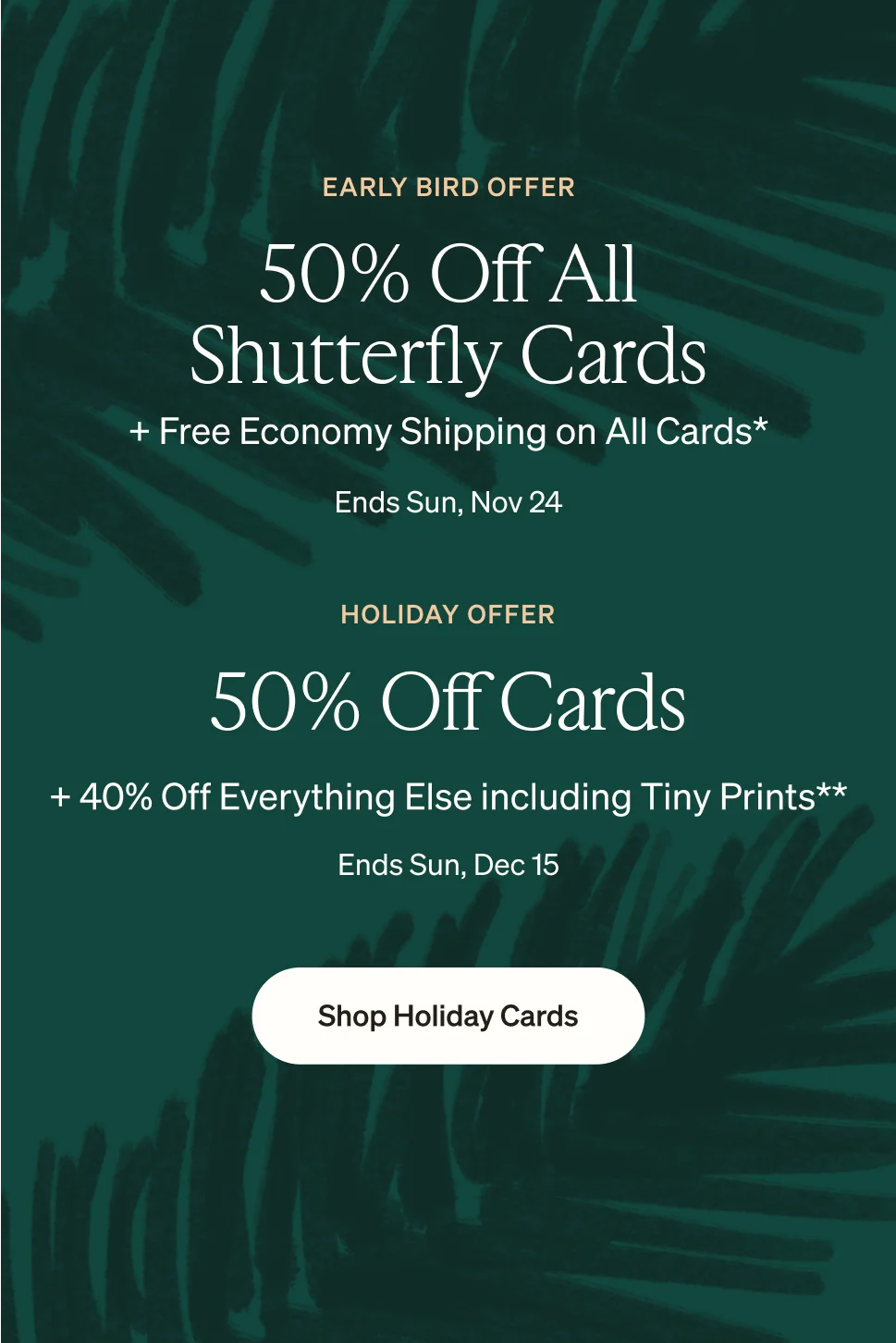shutterfly-photo-books-cards-prints-wall-art-gifts-wedding