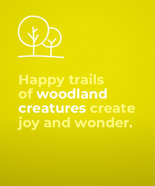 kids woodland creatures theme